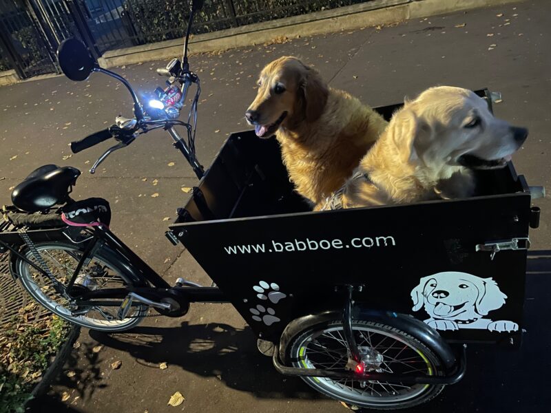 Vélo Cargo Triporteur chien ou enfant une banquette