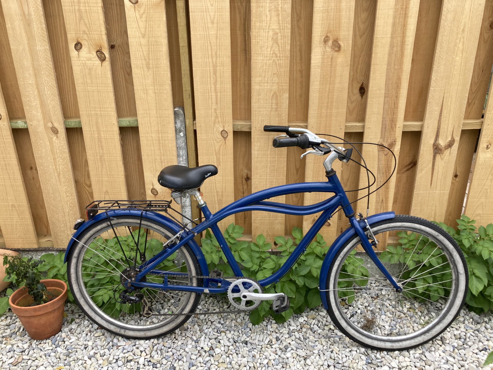 Beach cruiser wsd on sale