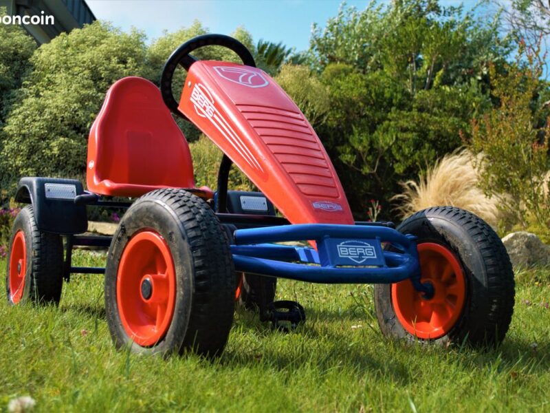 Kart Berg à pédales Adulte et un siège enfant de - 30 kilo en option. Prix indiqué est pour 1/2 journée (20€ pour la demi-journée).