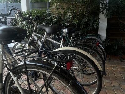Location vélos de tout types et pour tout âges