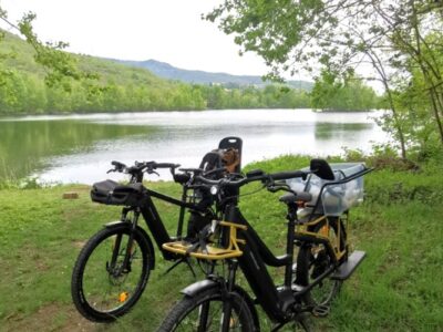 location vélo cargo longtail