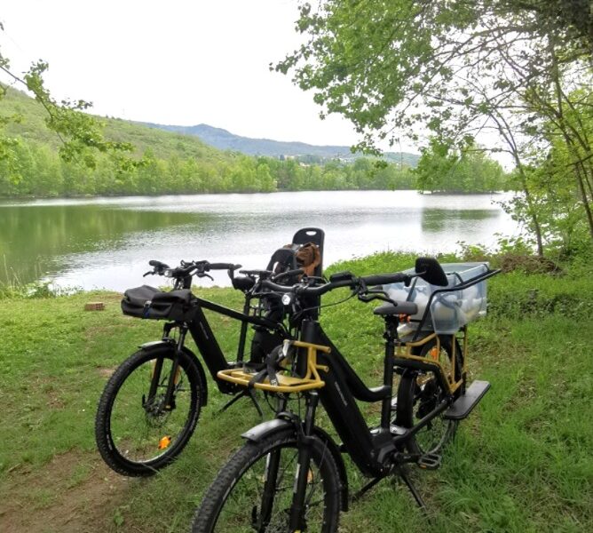 location vélo cargo longtail