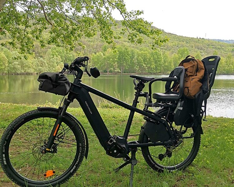 location vélo cargo longtail