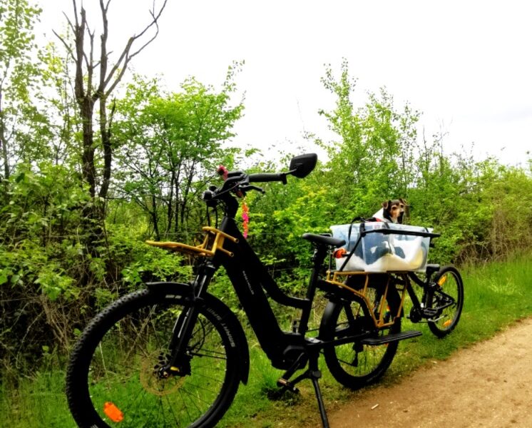 location vélo cargo longtail