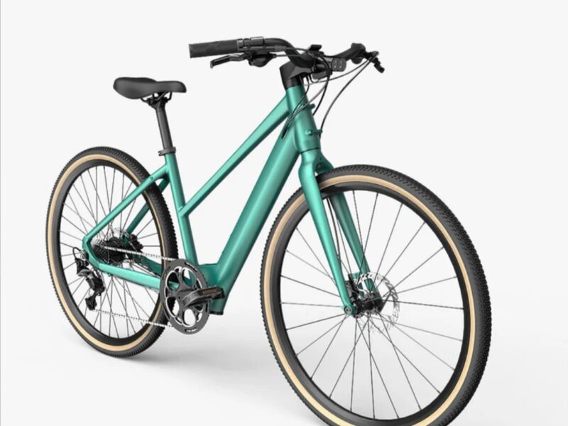 Vélo Fiido C22 VAE