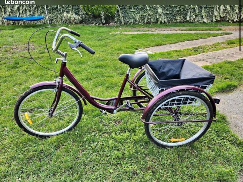 Tricycle pour handicapée sans vitesse, Prix indiqué est pour 1/2 journée (12€ pour la demi-journée).