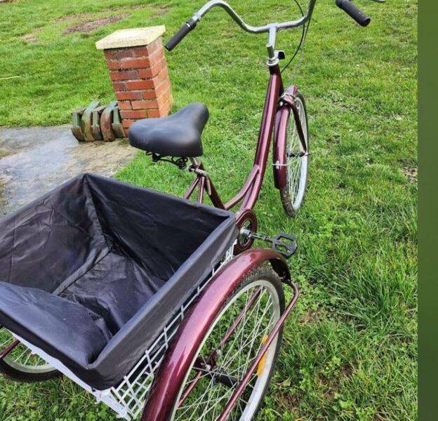 Tricycle pour handicapée sans vitesse, Prix indiqué est pour 1/2 journée (12€ pour la demi-journée).