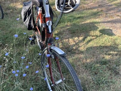 Vélo électrique hollandais