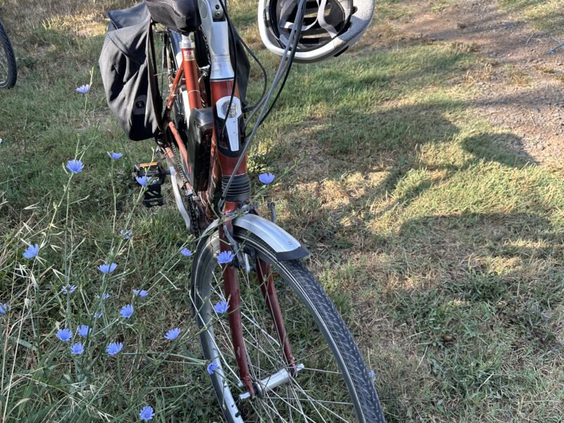 Vélo électrique hollandais