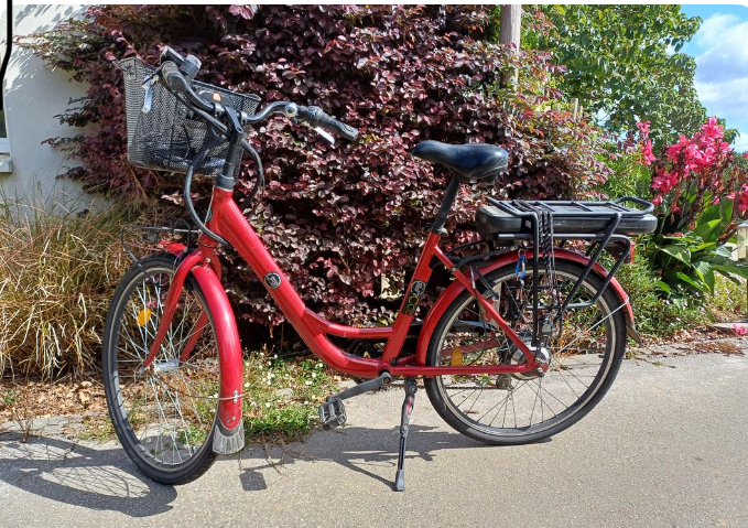 Vélo électrique mixte