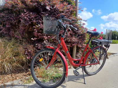 Vélo électrique mixte