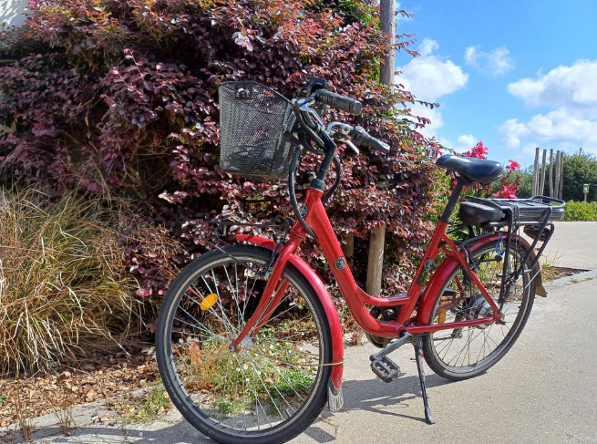 Vélo électrique mixte